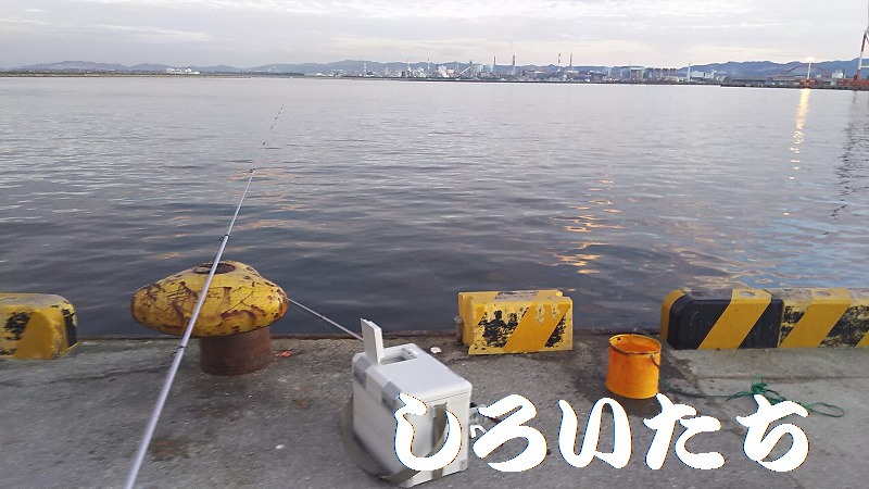 しろいたち流,水中ライト,さそい,しろいたち,タナ,タチウオ,ウキ,水軒,和歌山,アジ