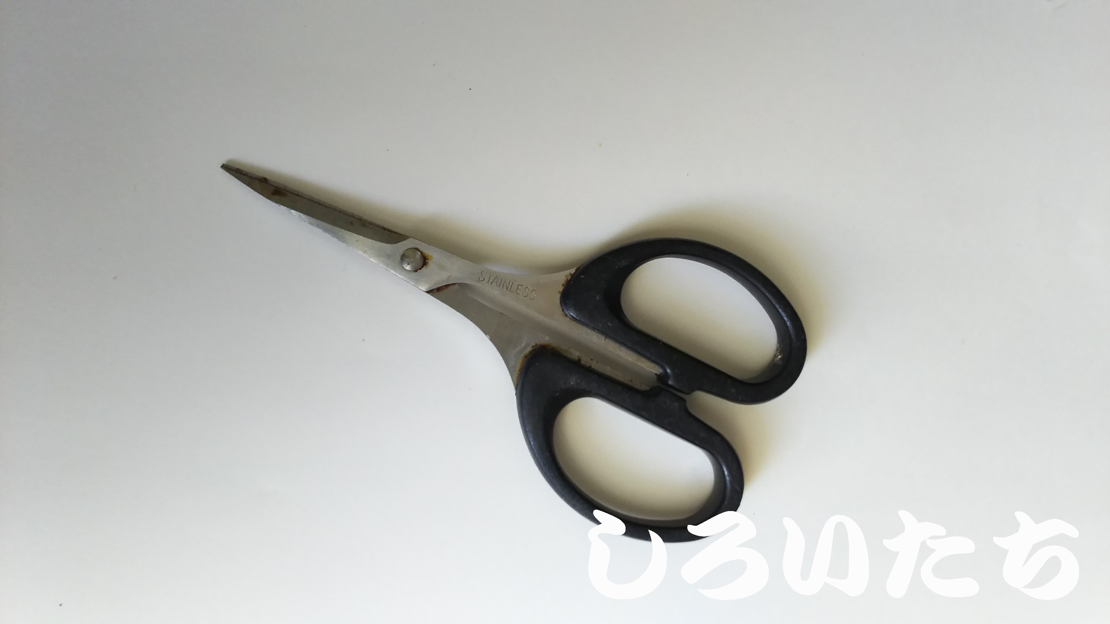 �^�`�E�I�̃E�L�ނ�ł��낢�������g���̓���B