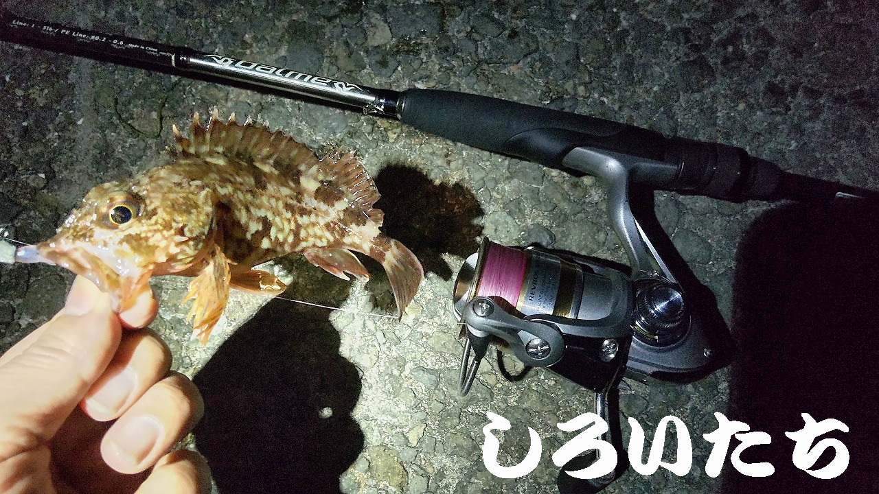 �P�H���o�����O���K