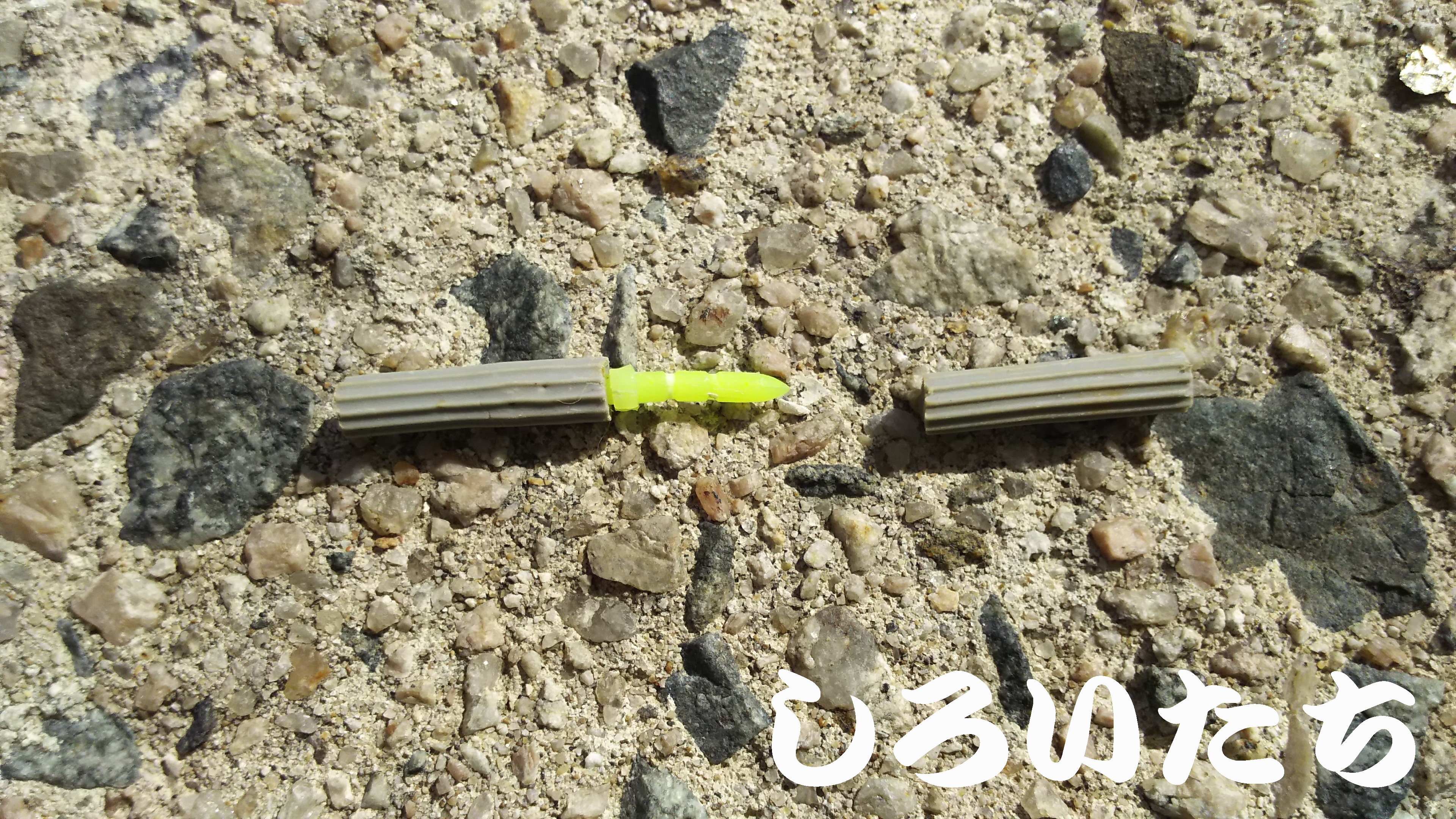 �^�`�E�I�̃E�L�ނ�ł��낢�������g���̓���B