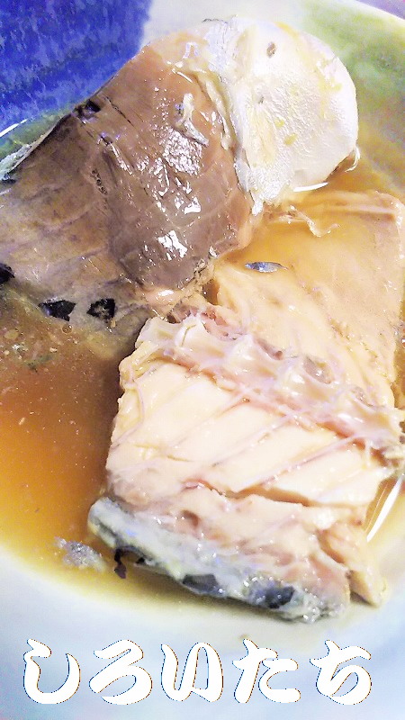 �ނ��ĕۑ������T�o�̃A�����W�����@���낢�����Ɨ�