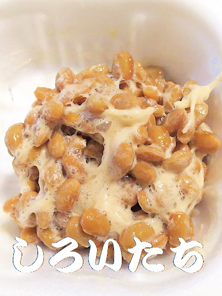 �ނ��ĕۑ������T�o�̃A�����W�����@���낢�����Ɨ�