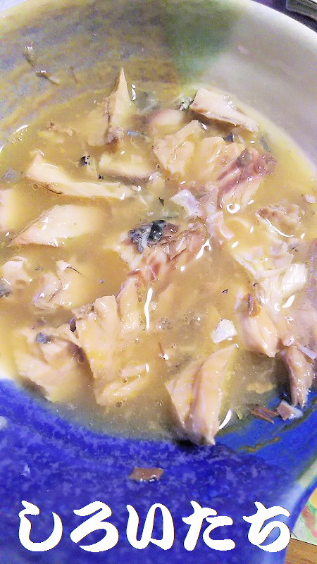 �ނ��ĕۑ������T�o�̃A�����W�����@���낢�����Ɨ�