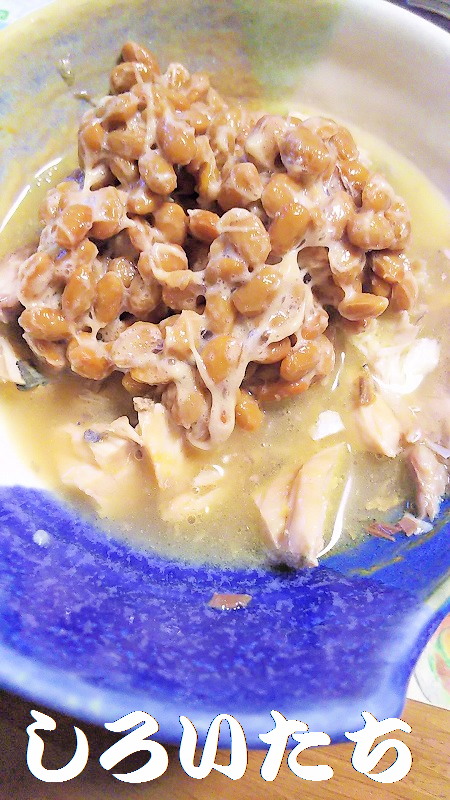 �ނ��ĕۑ������T�o�̃A�����W�����@���낢�����Ɨ�