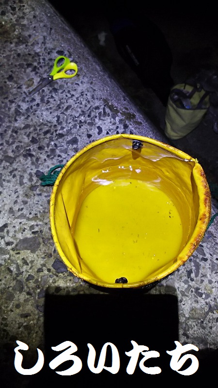 �^�`�E�I�̃E�L�ނ�ł��낢�������g���̓���B