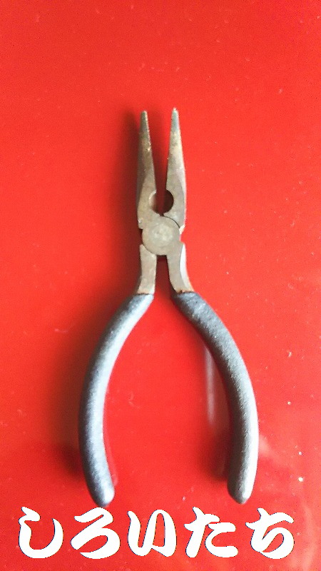 �^�`�E�I�̃E�L�ނ�ł��낢�������g���̓���B