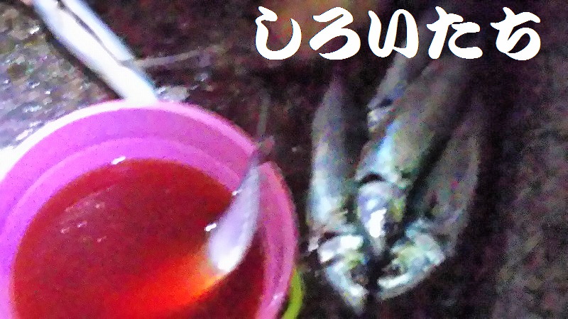 �ނ��ĕۑ������T�o�̃A�����W�����@���낢�����Ɨ�