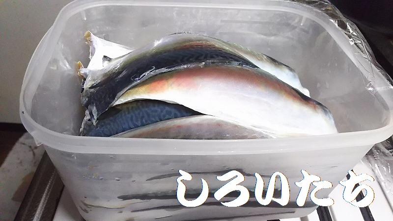 �ނ��ĕۑ������T�o�̃A�����W�����@���낢�����Ɨ�