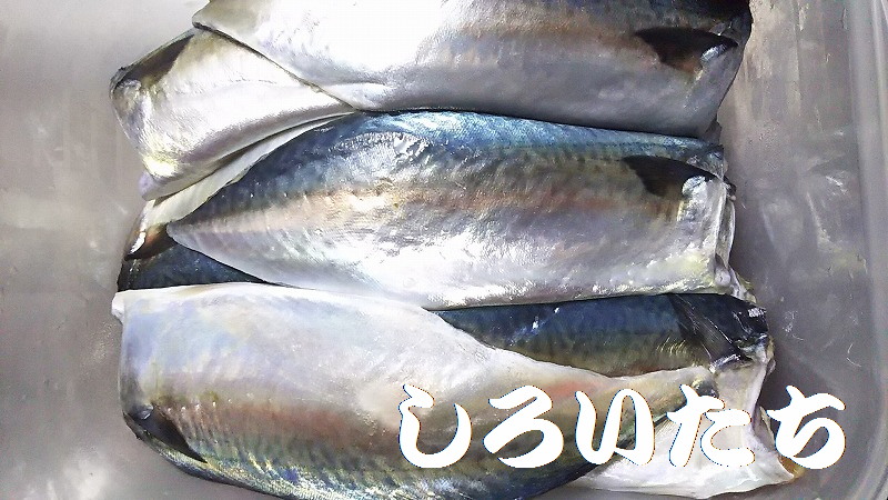 �ނ��ĕۑ������T�o�̃A�����W�����@���낢�����Ɨ�