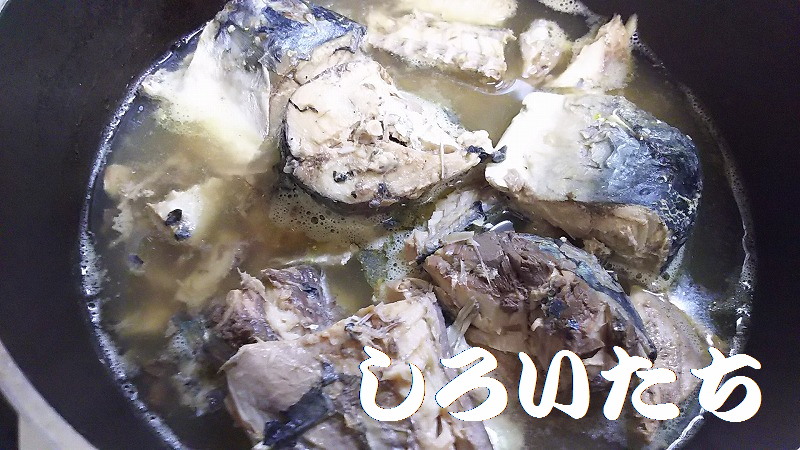 �ނ��ĕۑ������T�o�̃A�����W�����@���낢�����Ɨ�