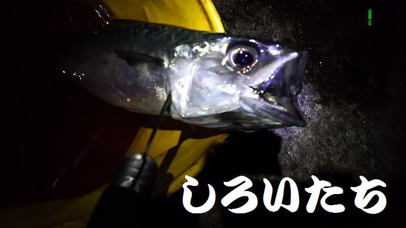 �ނ��ĕۑ������T�o�̃A�����W�����@���낢�����Ɨ�