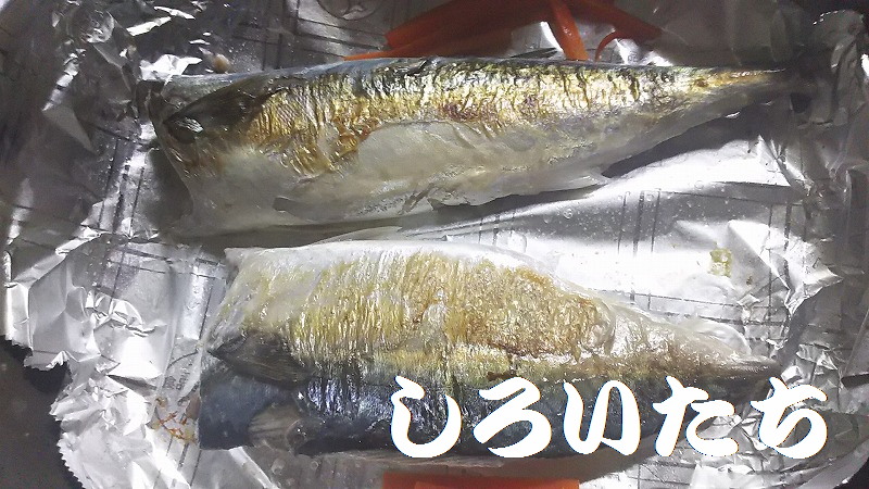 �ނ��ĕۑ������T�o�̃A�����W�����@���낢�����Ɨ�