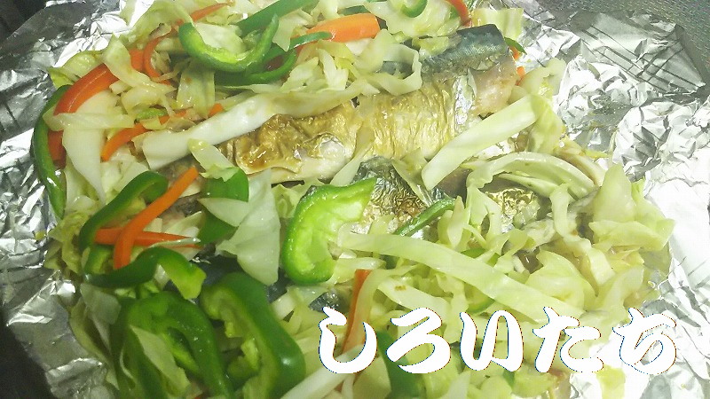 �ނ��ĕۑ������T�o�̃A�����W�����@���낢�����Ɨ�