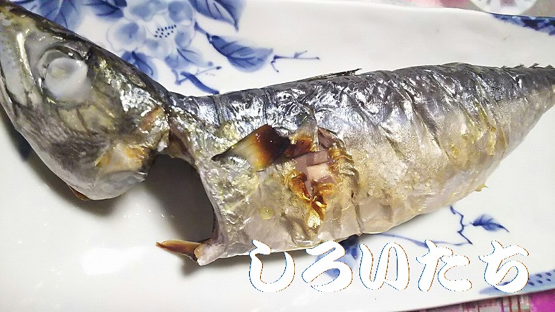 �ނ��ĕۑ������T�o�̃A�����W�����@���낢�����Ɨ�