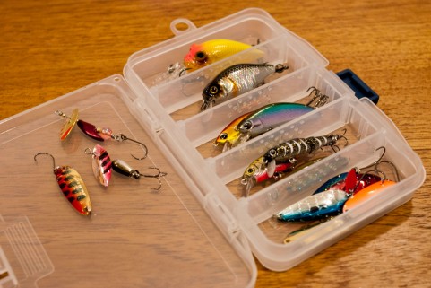 大サバは偏食でグルメ。エサとルアーを準備?